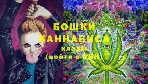 PSILOCYBIN Алзамай