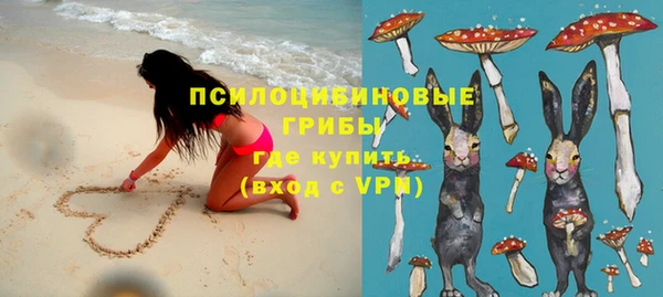 a pvp Алексин
