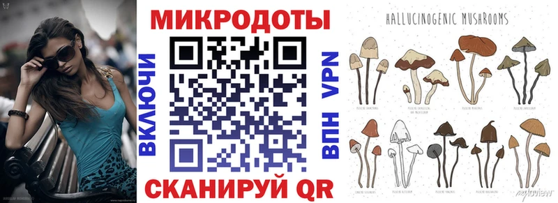 купить наркотик  Новомичуринск  Галлюциногенные грибы Cubensis 